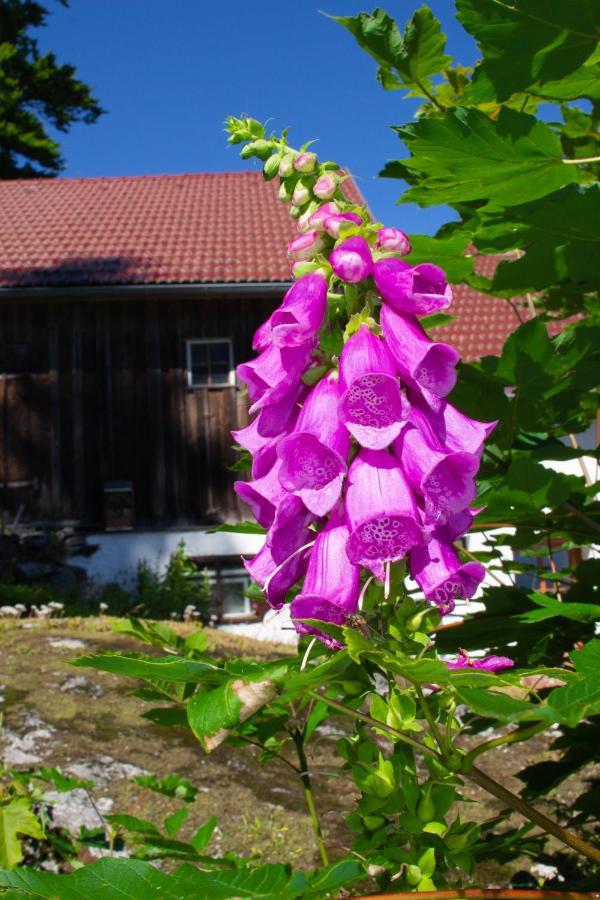 Ferienhaus Ploeckenstein Schwarzenberg am Bohmerwald Екстериор снимка