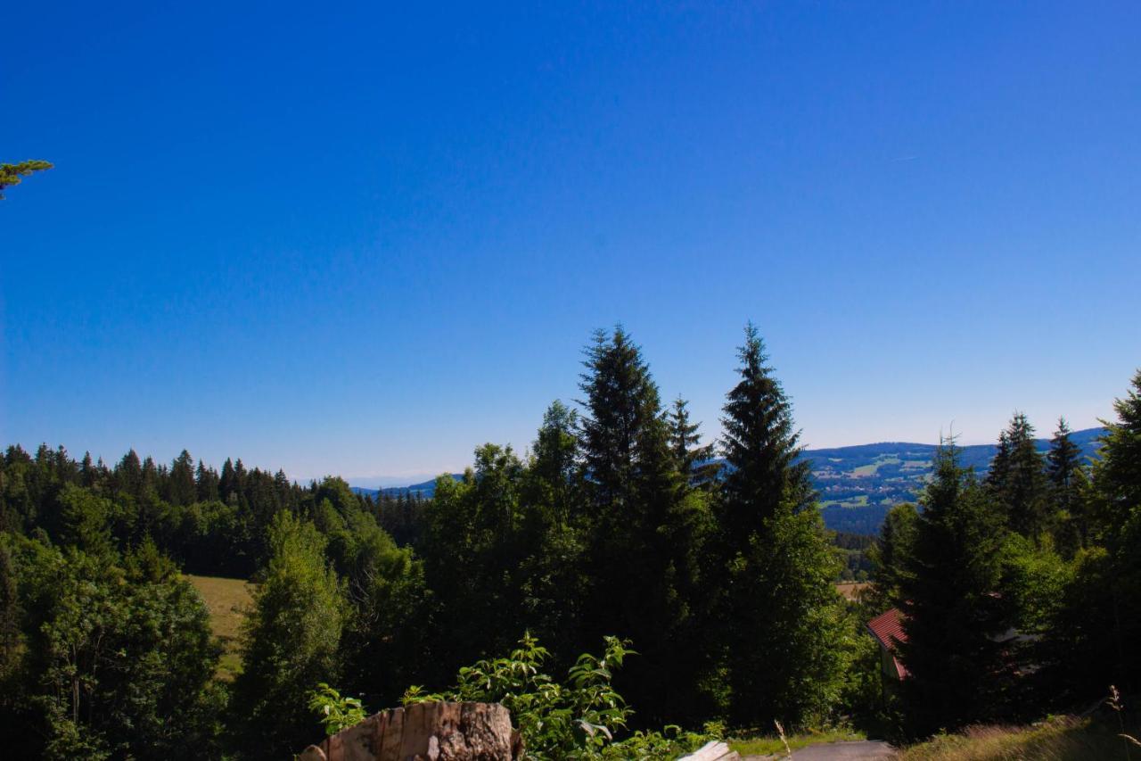 Ferienhaus Ploeckenstein Schwarzenberg am Bohmerwald Екстериор снимка