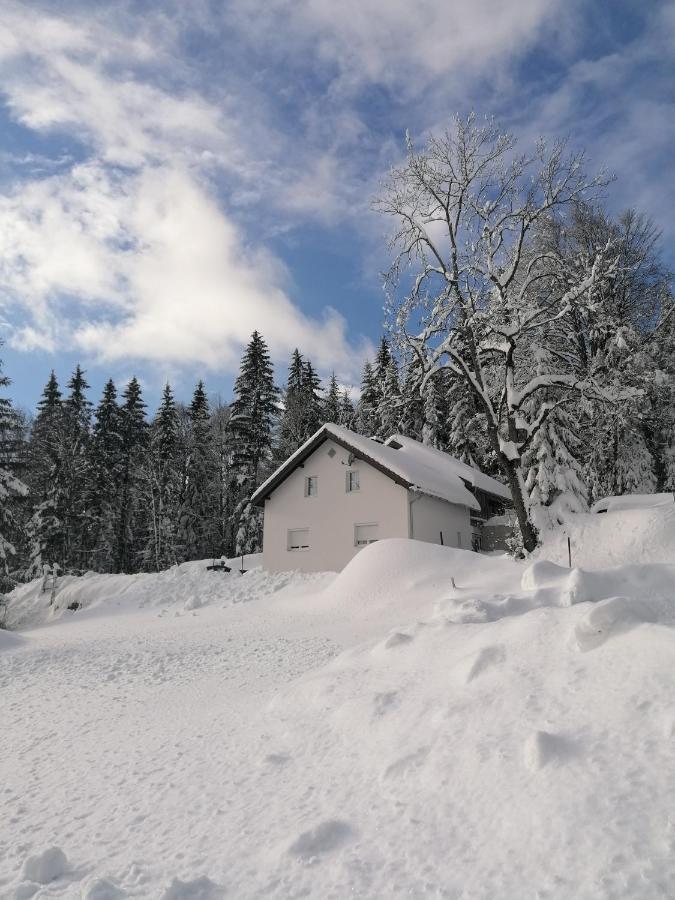 Ferienhaus Ploeckenstein Schwarzenberg am Bohmerwald Екстериор снимка