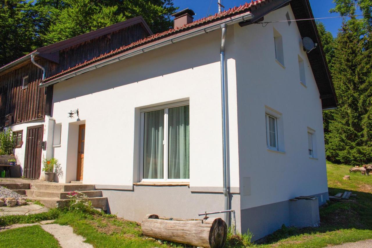 Ferienhaus Ploeckenstein Schwarzenberg am Bohmerwald Екстериор снимка