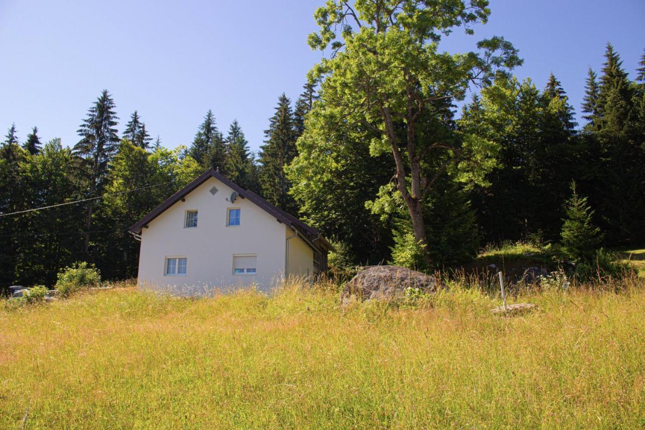Ferienhaus Ploeckenstein Schwarzenberg am Bohmerwald Екстериор снимка