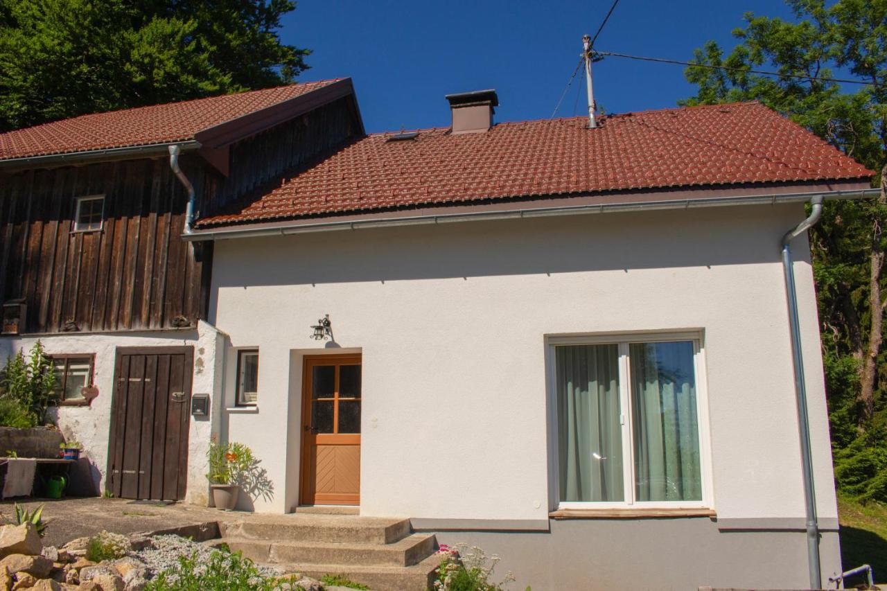 Ferienhaus Ploeckenstein Schwarzenberg am Bohmerwald Екстериор снимка